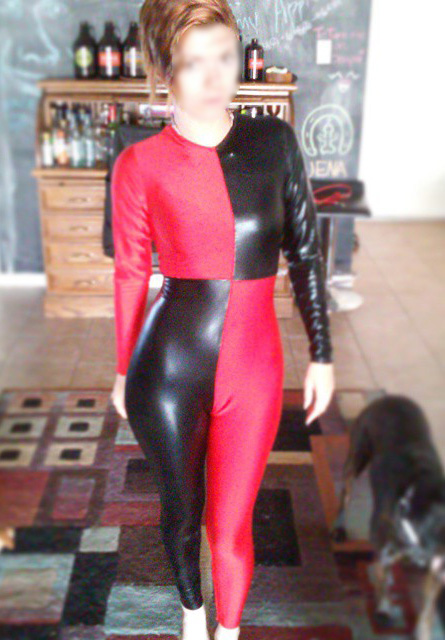 Harley Quinn Cosplay Costume Halloween Catsuit 15112116